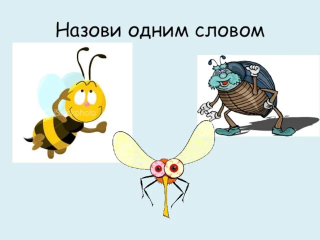 Назови одним словом