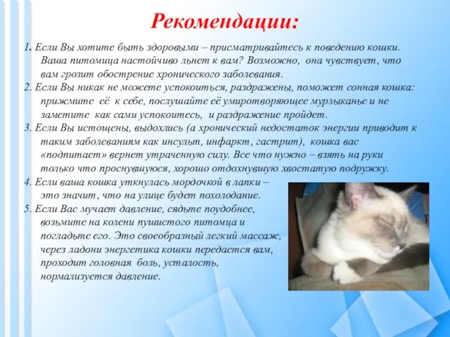 Рекомендации: 1. Если Вы хотите быть здоровыми – присматривайтесь к поведению кошки.