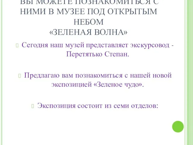 Сегодня наш музей представляет экскурсовод -Перетятько Степан. Предлагаю вам познакомиться с нашей