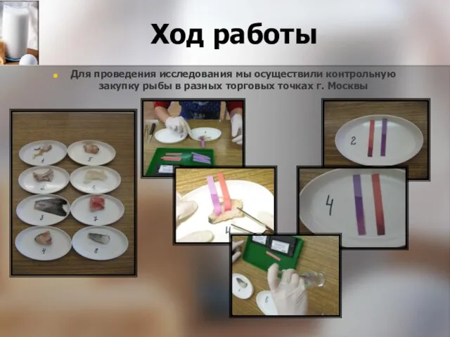 Ход работы Для проведения исследования мы осуществили контрольную закупку рыбы в разных торговых точках г. Москвы