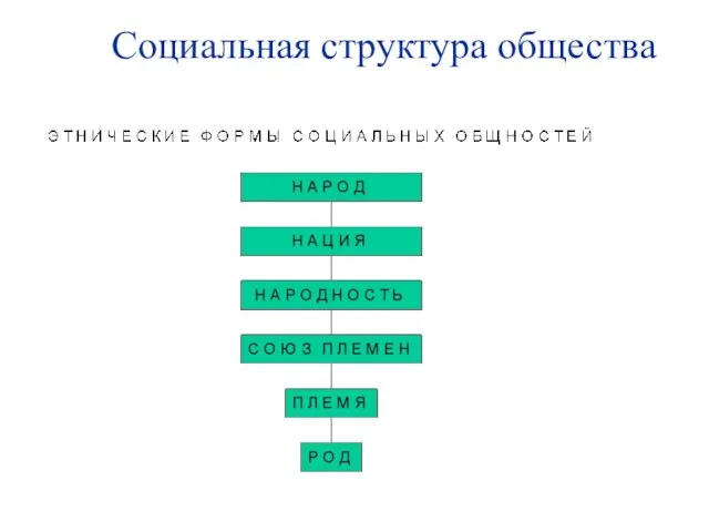 Социальная структура общества