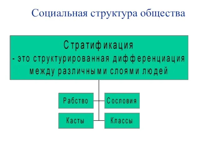 Социальная структура общества