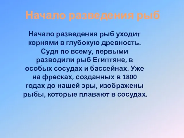 Начало разведения рыб Начало разведения рыб уходит корнями в глубокую древность. Судя