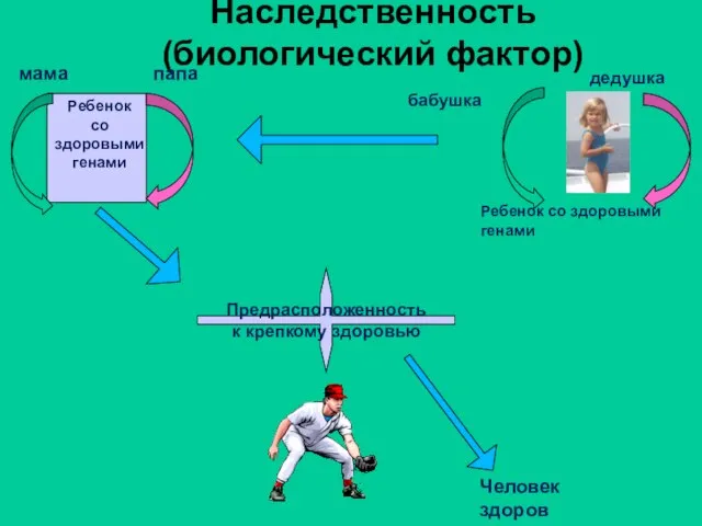 Наследственность (биологический фактор) мама папа Ребенок со здоровыми генами бабушка дедушка Ребенок