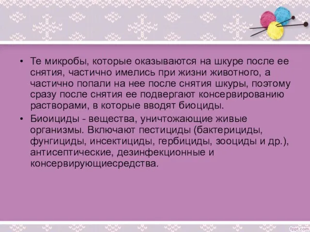 Те микробы, которые оказываются на шкуре после ее снятия, частично имелись при