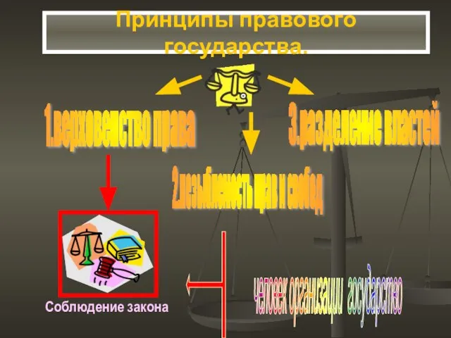 Принципы правового государства.