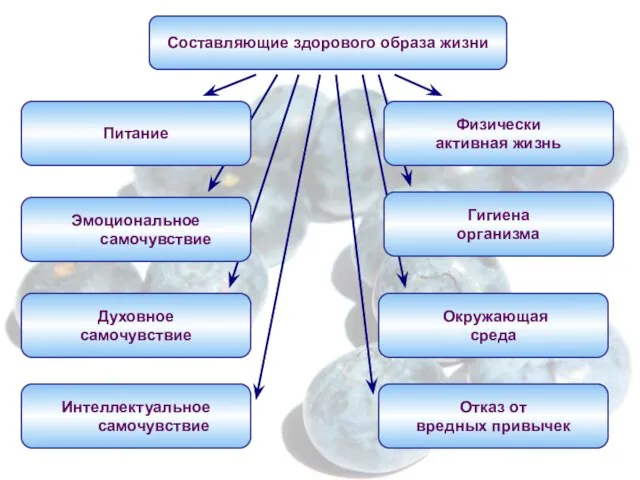 Питание Гигиена организма Отказ от вредных привычек Интеллектуальное самочувствие Духовное самочувствие Окружающая