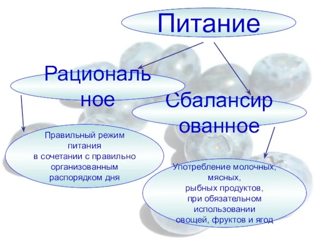 Питание Сбалансированное Рациональное Правильный режим питания в сочетании с правильно организованным распорядком