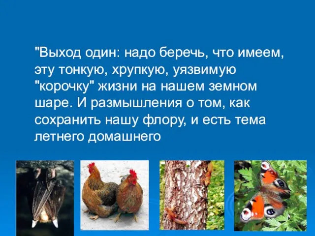 "Выход один: надо беречь, что имеем, эту тонкую, хрупкую, уязвимую "корочку" жизни