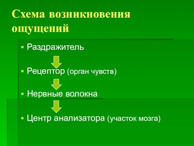 Схема возникновения ощущений Раздражитель Рецептор (орган чувств) Нервные волокна Центр анализатора (участок мозга)