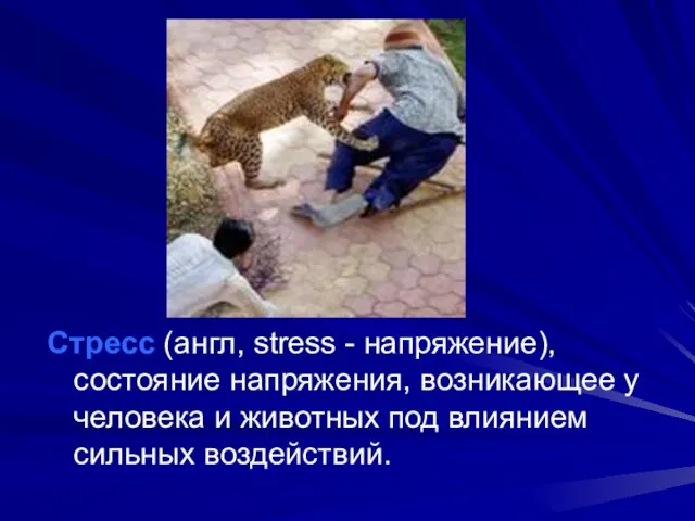 Стресс (англ, stress - напряжение), состояние напряжения, возникающее у человека и животных под влиянием сильных воздействий.