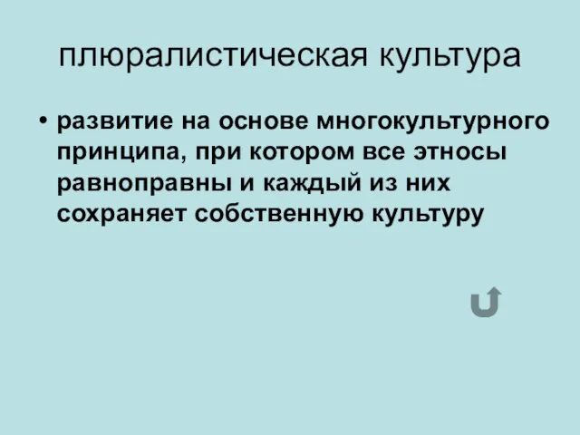 плюралистическая культура развитие на основе многокультурного принципа, при котором все этносы равноправны