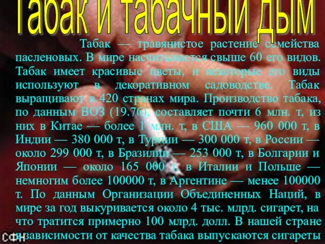 Табак — травянистое растение семейства пасленовых. В мире насчитывается свыше 60 его