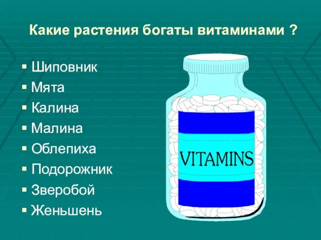 Какие растения богаты витаминами ? Шиповник Мята Калина Малина Облепиха Подорожник Зверобой Женьшень