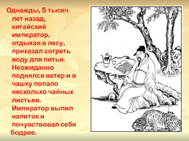 Однажды, 5 тысяч лет назад, китайский император, отдыхая в лесу, приказал согреть