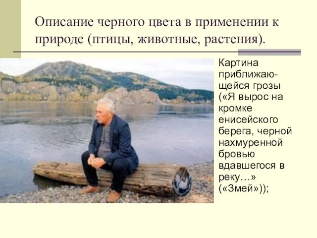 Описание черного цвета в применении к природе (птицы, животные, растения). Картина приближаю-щейся