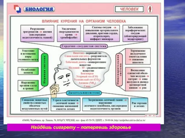 Найдёшь сигарету – потеряешь здоровье