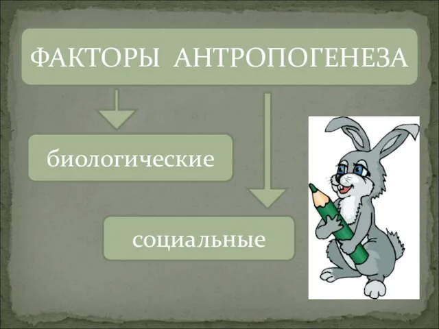 ФАКТОРЫ АНТРОПОГЕНЕЗА социальные биологические