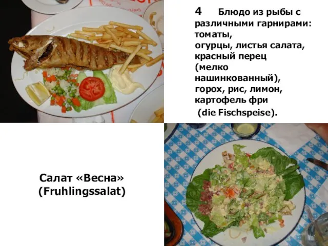 4 Блюдо из рыбы с различными гарнирами: томаты, огурцы, листья салата, красный