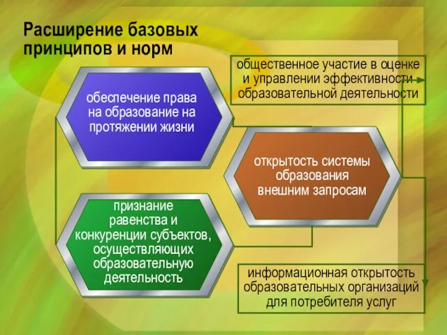 Расширение базовых принципов и норм обеспечение права на образование на протяжении жизни