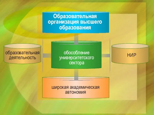 Образовательная организация высшего образования обособление университетского сектора образовательная деятельность НИР широкая академическая автономия