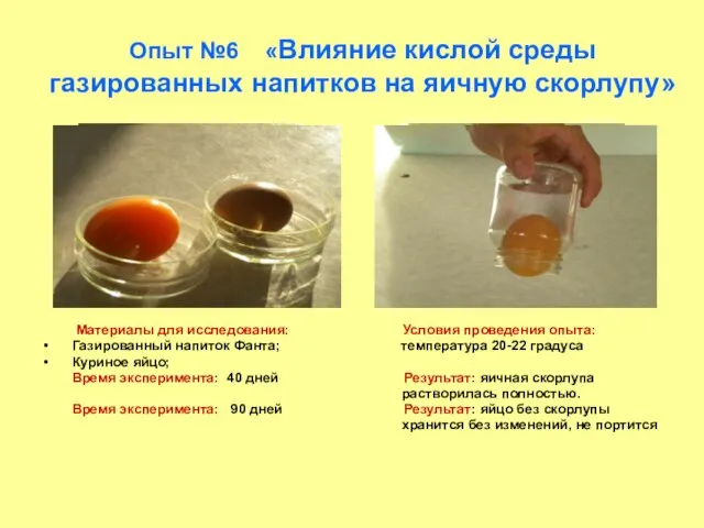 Опыт №6 «Влияние кислой среды газированных напитков на яичную скорлупу» Материалы для