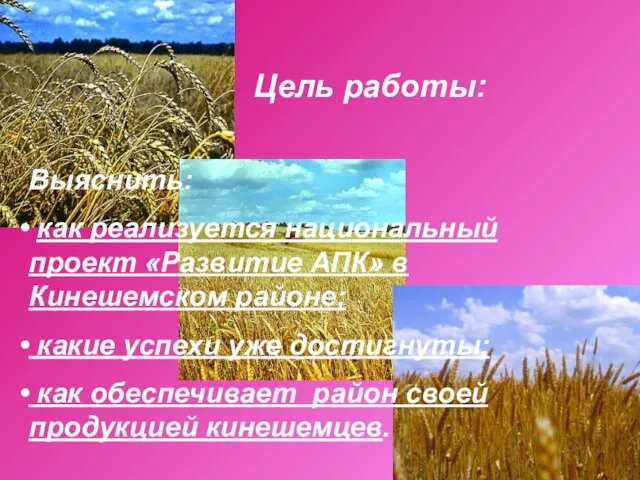 Цель работы: Выяснить: как реализуется национальный проект «Развитие АПК» в Кинешемском районе;