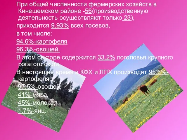 При общей численности фермерских хозяйств в Кинешемском районе -56(производственную деятельность осуществляют только