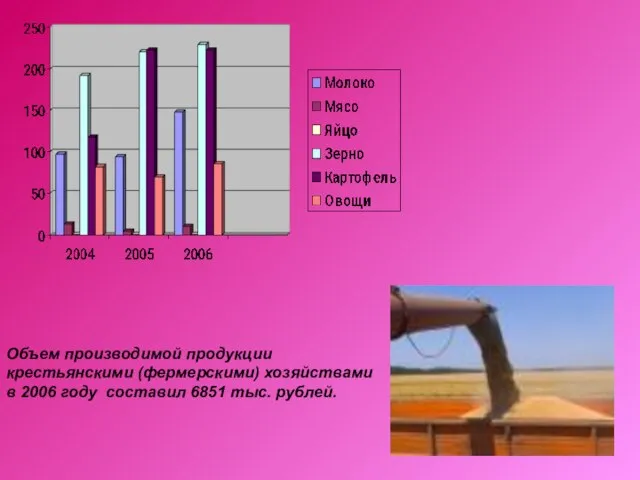 Объем производимой продукции крестьянскими (фермерскими) хозяйствами в 2006 году составил 6851 тыс. рублей.