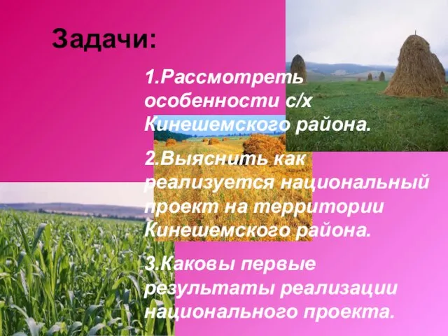 Задачи: 1.Рассмотреть особенности с/х Кинешемского района. 2.Выяснить как реализуется национальный проект на