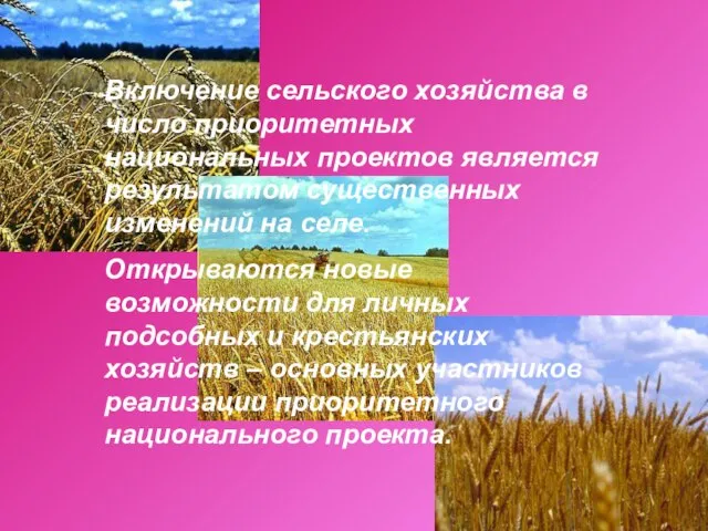 Включение сельского хозяйства в число приоритетных национальных проектов является результатом существенных изменений