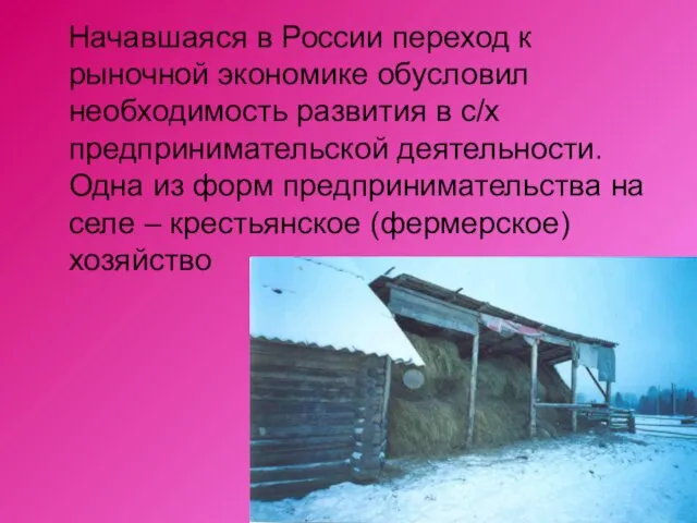 Начавшаяся в России переход к рыночной экономике обусловил необходимость развития в с/х