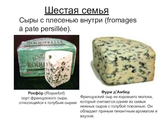 Шестая семья Сыры с плесенью внутри (fromages à pate persillée). Рокфо́р (Roquefort)