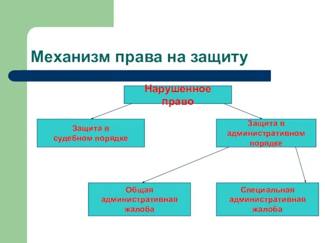 Механизм права на защиту Нарушенное право Защита в судебном порядке Защита в