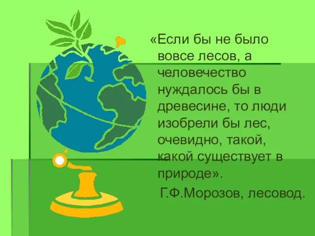 «Если бы не было вовсе лесов, а человечество нуждалось бы в древесине,