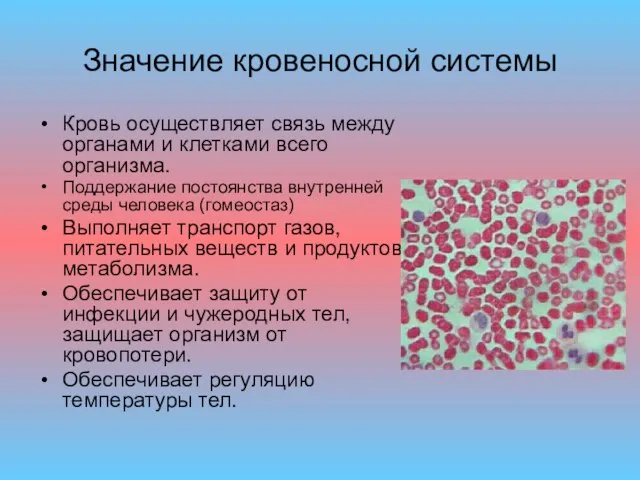 Значение кровеносной системы Кровь осуществляет связь между органами и клетками всего организма.