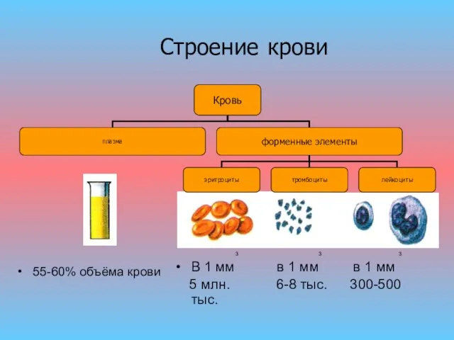 55-60% объёма крови 3 3 3 В 1 мм в 1 мм