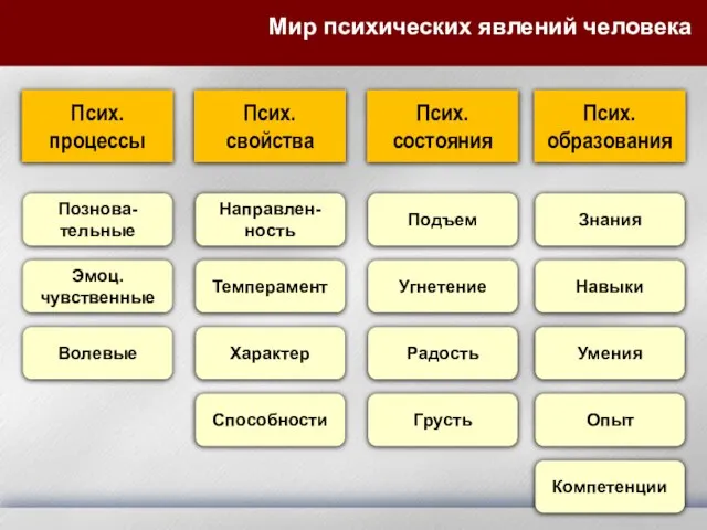 Мир психических явлений человека Псих. процессы Познова-тельные Псих. свойства Псих. состояния Псих.