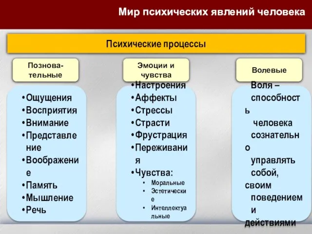 Мир психических явлений человека Психические процессы Познова-тельные Эмоции и чувства Волевые Ощущения