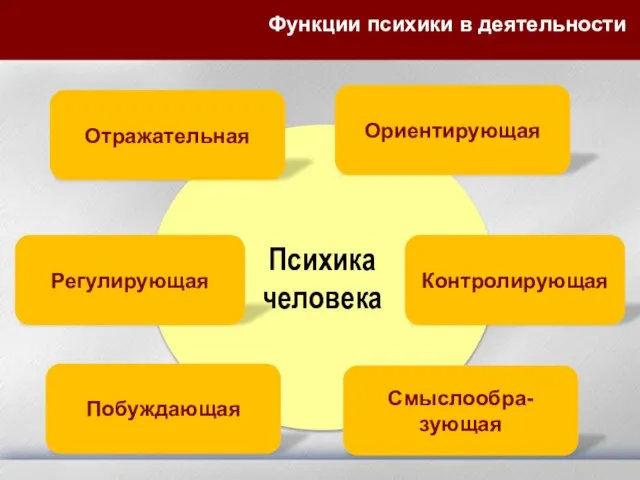 Психика человека Функции психики в деятельности Отражательная Ориентирующая Регулирующая Контролирующая Побуждающая Смыслообра-зующая