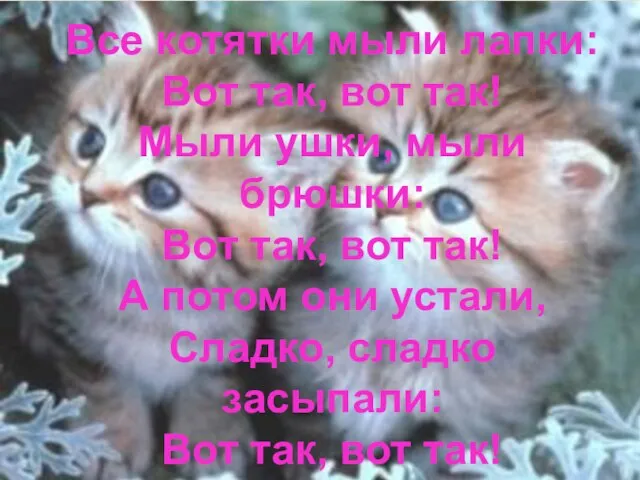 Все котятки мыли лапки: Вот так, вот так! Мыли ушки, мыли брюшки: