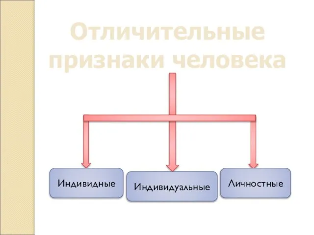 Отличительные признаки человека