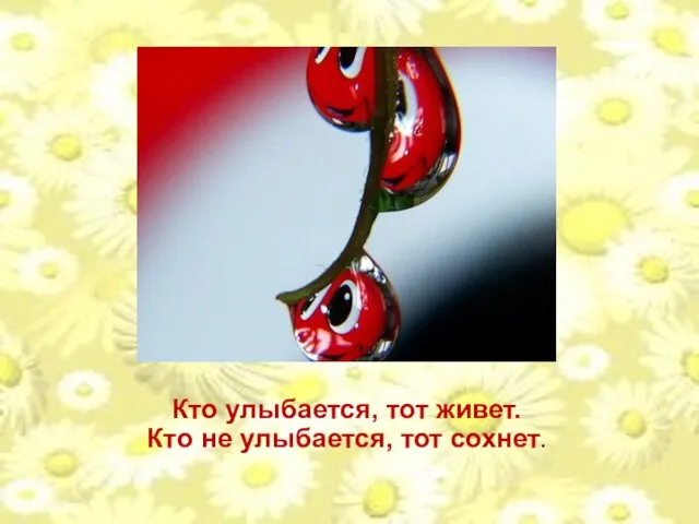 Кто улыбается, тот живет. Кто не улыбается, тот сохнет.