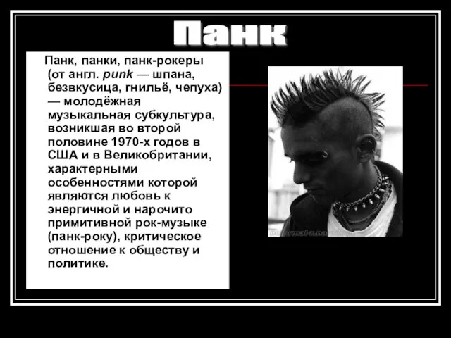 Панк, панки, панк-рокеры (от англ. punk — шпана, безвкусица, гнильё, чепуха) —