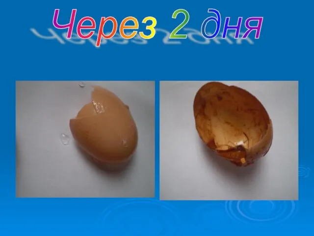 Через 2 дня