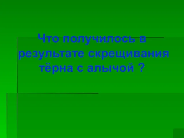 Что получилось в результате скрещивания тёрна с алычой ?