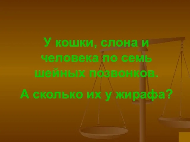 У кошки, слона и человека по семь шейных позвонков. А сколько их у жирафа?