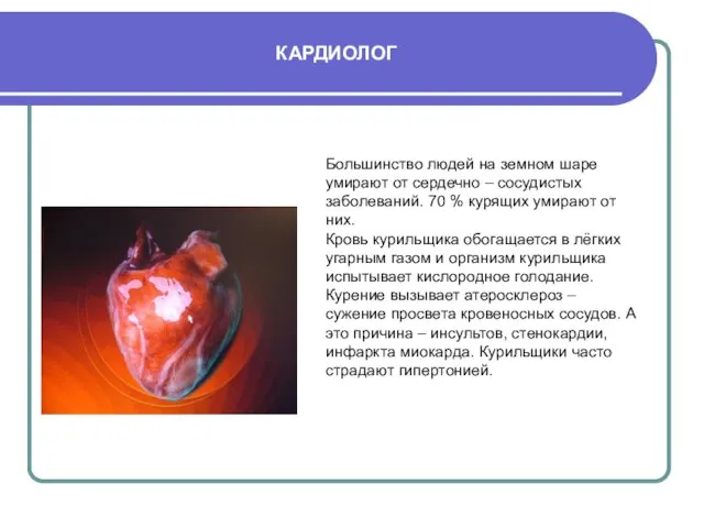 КАРДИОЛОГ Большинство людей на земном шаре умирают от сердечно – сосудистых заболеваний.