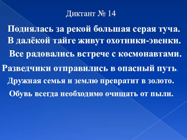 Диктант № 14 Поднялась за рекой большая серая туча. В далёкой тайге