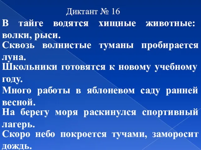 Диктант № 16 В тайге водятся хищные животные: волки, рыси. Сквозь волнистые